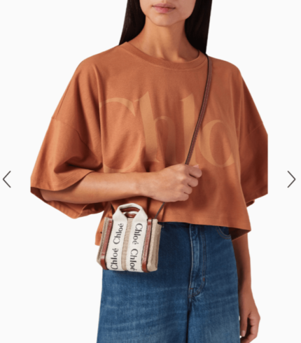 Chloe Mini Woody Tote Bag in Linen Canvas & Calfskin women handbags